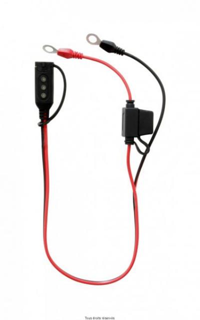 C&acirc;ble connexion permanente + testeur batterie SKYRISH