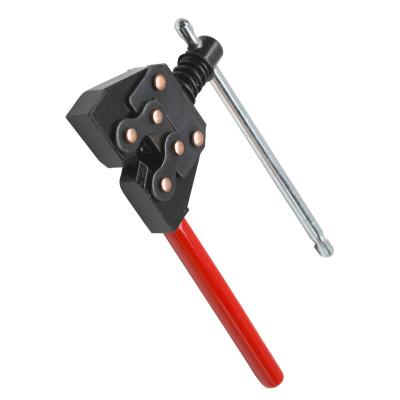 D&eacute;rive cha&icirc;ne P2R 12581