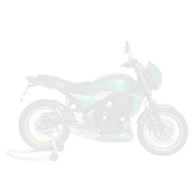 Ecope de radiateur Ermax KAWASAKI Z650RS