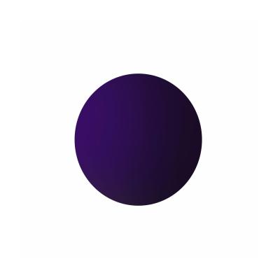 Ecran Masque Scott WORKS IRIDIUM VIOLET - BUZZ