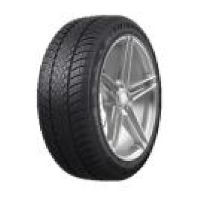 EffeX Winter TW421