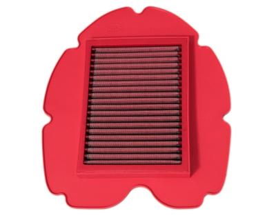 Filtre &agrave; air Bmc FM303/04