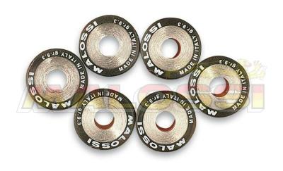 Galets de variateur Malossi Jeu de 19x15,5mm 6,5gr - 6 pièces
