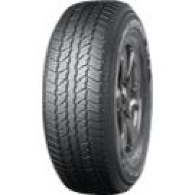 Geolandar A/T (G31C)