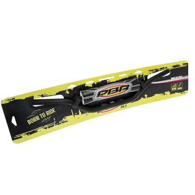 Guidon PBR type 999