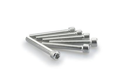 Kit Visserie Car&eacute;nage Puig En Aluminium Anodis&eacute; Argent Blister 6 vis allen M6x45mm