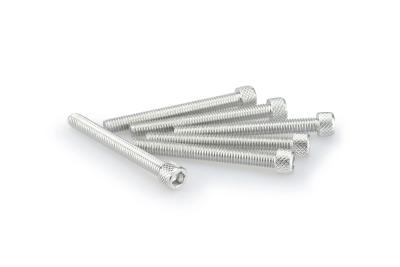 Kit Visserie Car&eacute;nage Puig En Aluminium Anodis&eacute; Argent Blister 6 vis allen M6x55mm