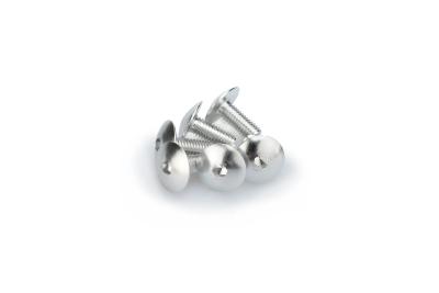 Kit Visserie Car&eacute;nage Puig En Aluminium Anodis&eacute; Argent Blister 6 vis bomb&eacute; M6x15mm