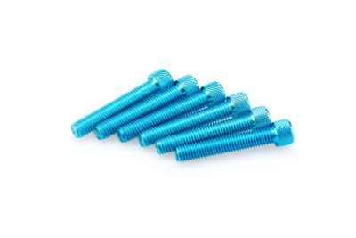 Kit Visserie Car&eacute;nage Puig En Aluminium Anodis&eacute; Bleu Blister 6 vis allen M8x55mm