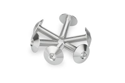 Kit Visserie Car&eacute;nage Puig En Aluminium Anodis&eacute; Bulles Argent 6 Vis M6x20 T&ecirc;te diam&egrave;tre 16,8mm