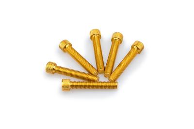 Kit Visserie Car&eacute;nage Puig En Aluminium Anodis&eacute; Jaune Blister 6 vis allen M8x45mm