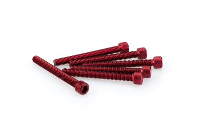 Kit Visserie Car&eacute;nage Puig En Aluminium Anodis&eacute; Rouge Blister 6 vis allen M6x55mm