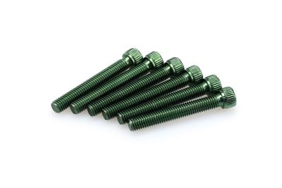 Kit Visserie Car&eacute;nage Puig En Aluminium Anodis&eacute; Vert Blister 6 vis allen M8x55mm