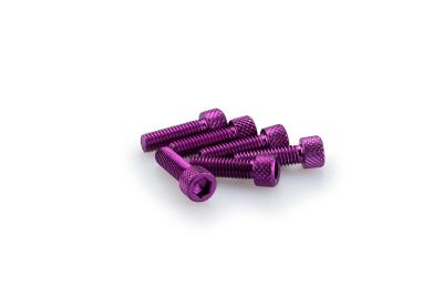 Kit Visserie Car&eacute;nage Puig En Aluminium Anodis&eacute; Violet Blister 6 vis allen M6x20mm