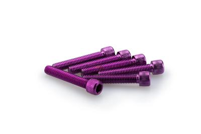 Kit Visserie Car&eacute;nage Puig En Aluminium Anodis&eacute; Violet Blister 6 vis allen M6x35mm