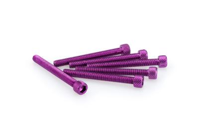 Kit Visserie Car&eacute;nage Puig En Aluminium Anodis&eacute; Violet Blister 6 vis allen M6x55mm