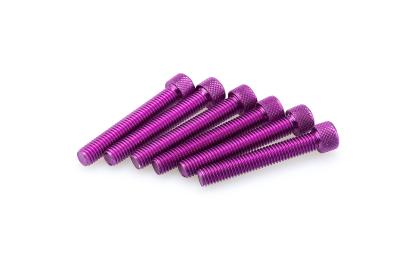 Kit Visserie Car&eacute;nage Puig En Aluminium Anodis&eacute; Violet Blister 6 vis allen M8x50mm