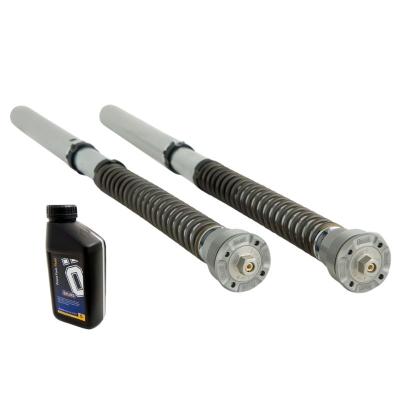 Kit cartouches Ohlins NIX 30
