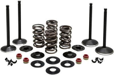 Kit conversion de soupapes Kibble White 09263210