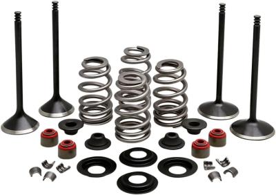 Kit conversion de soupapes Kibble White 09263220