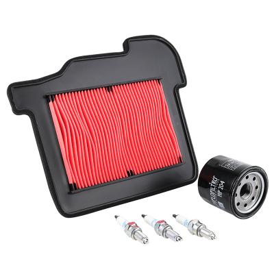 Kit entretien P2R 224187