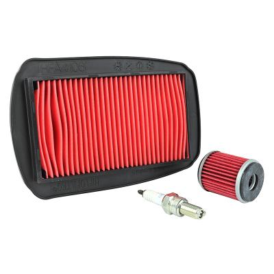 Kit entretien P2R 224211