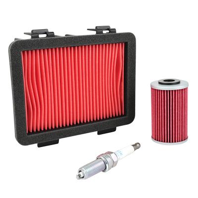 Kit entretien P2R 224272