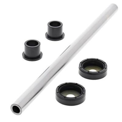 Kit reconditionnement rotule de triangle All Balls inf&eacute;rieur avant