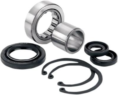 Kit roulements et joints de vilebrequin Drag Specialties 11200162