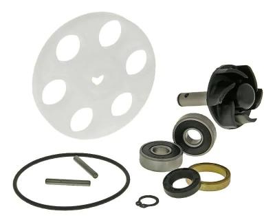 Kit r&eacute;paration pompe &agrave; eau 101 Octane 09320243
