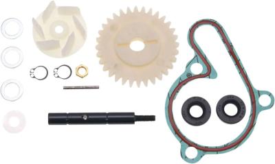 Kit r&eacute;paration pompe &agrave; eau 101 Octane 09346690