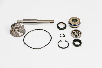 Kit r&eacute;paration pompe &agrave; eau Onedesign 09346241