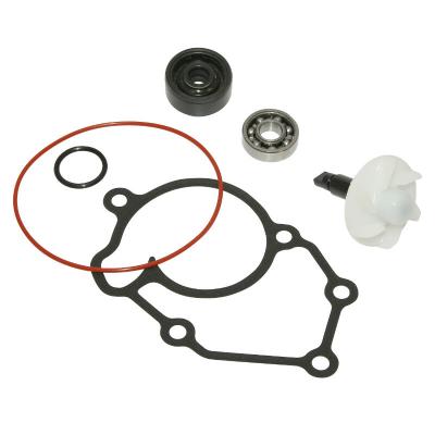 Kit r&eacute;paration pompe &agrave; eau P2R KIT REPARATION POMPE A EAU MAXISCOOTER ADAPTABLE YAMAHA 125 XMAX - MBK 125 SKYCRUISER 2006+2008 (KIT) -P2R-