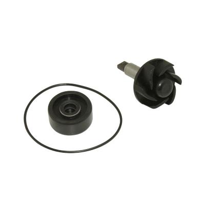 Kit r&eacute;paration pompe &agrave; eau P2R KIT REPARATION POMPE A EAU MAXISCOOTER