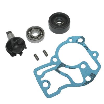 Kit r&eacute;paration pompe &agrave; eau P2R KIT REPARATION POMPE A EAU SCOOT