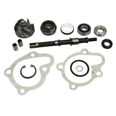 Kit r&eacute;paration pompe &agrave; eau P2R MAXISCOOTER