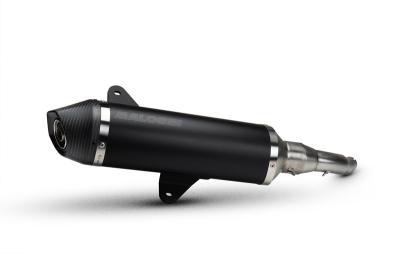 Ligne Complète Malossi Silencieux RX