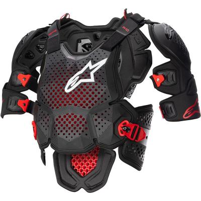 Pare-pierres A-10 V2 ALPINESTARS
