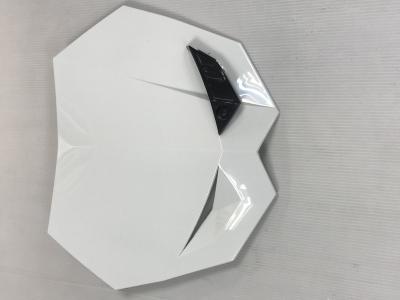 Plaque avant Bihr T&ecirc;te de fourche Rival blanc