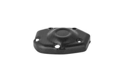 Protection Moteur LighTech pick-up carbone brillant