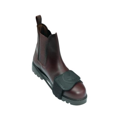 Prot&egrave;ge S&eacute;lecteur Bering