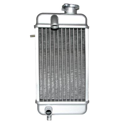 Radiateur P2R 50 A BOITE