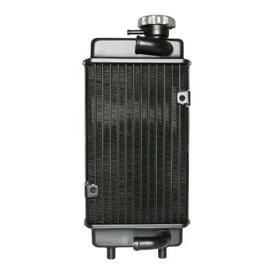 Radiateur P2R RADIATEUR 50 A BOITE TYPE MINARELLI 50 AM6 ENDURO-GENERIC 50 TRIGGER (H 280mm x L 140mm) -P2R-