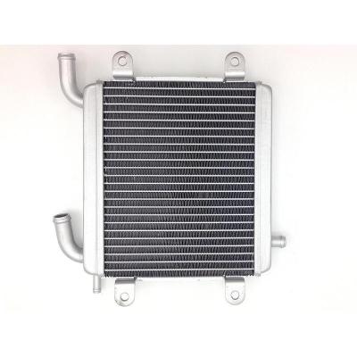 Radiateur Tecnium BIHR