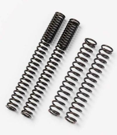 Ressorts de fourche Bitubo XJ900 95 - 98 DIVERSION