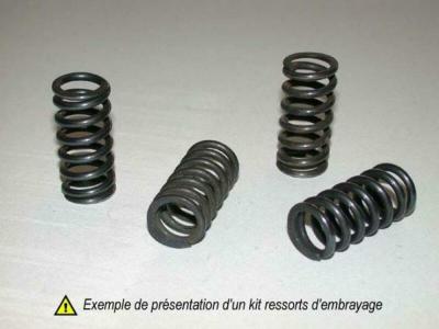 Ressorts d'embrayage Bihr 1009128