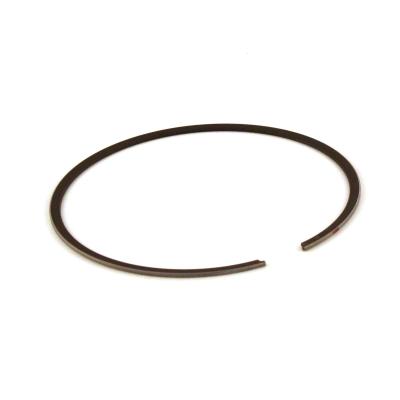 Segments VHM 56 x 1.0 mm
