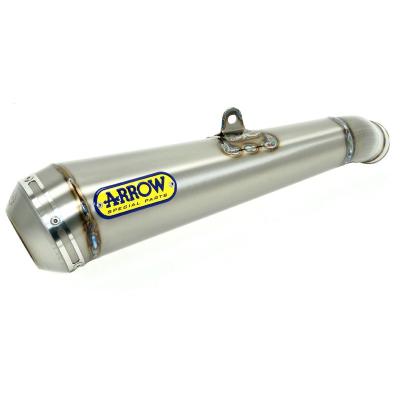 Silencieux Arrow Pro-race nichrom embout acier
