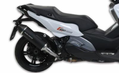 Silencieux Malossi Wild Lion - Metal Magic Carbon