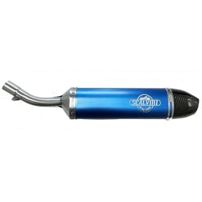 Silencieux Scalvini CARBON LOOK